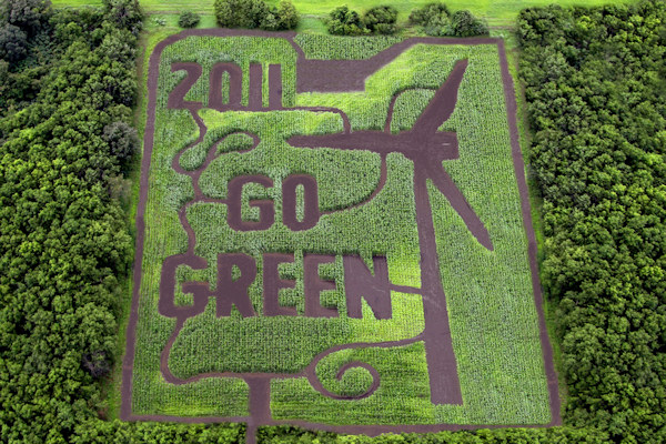 corn maze 2011